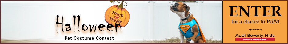 Halloween Pet Contest Landing Page Banner Audi BH.jpg