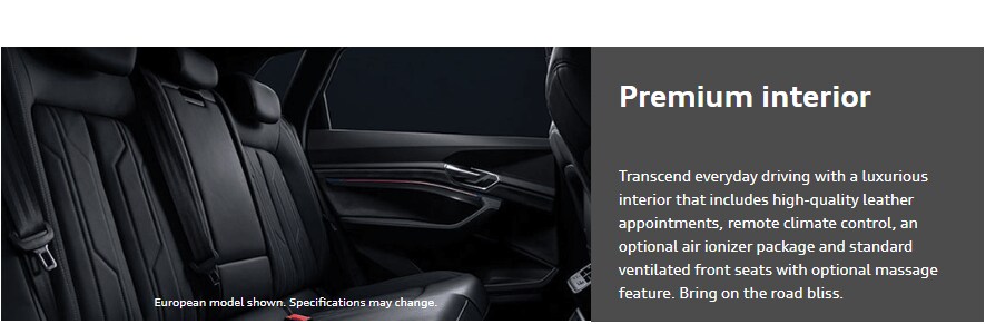 Audi_e-tron_interior.png