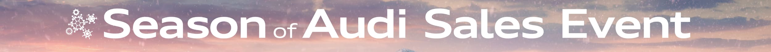 season-audi-banner-2020.png