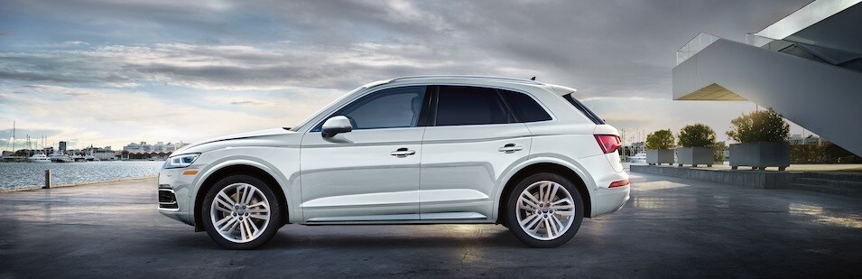 2019 Audi Q5 Side View