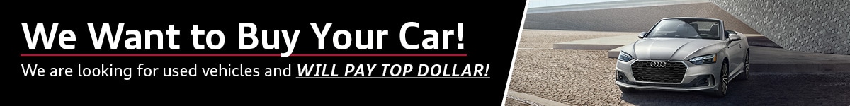 We Want To Buy Your Car