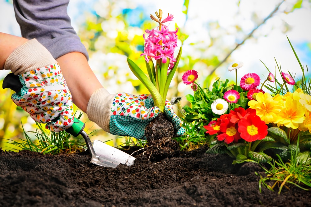 Community Garden