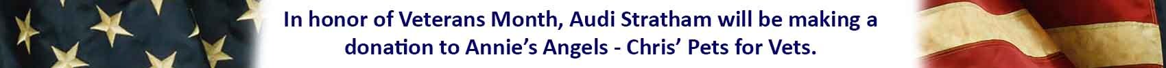 audi veterans.jpg
