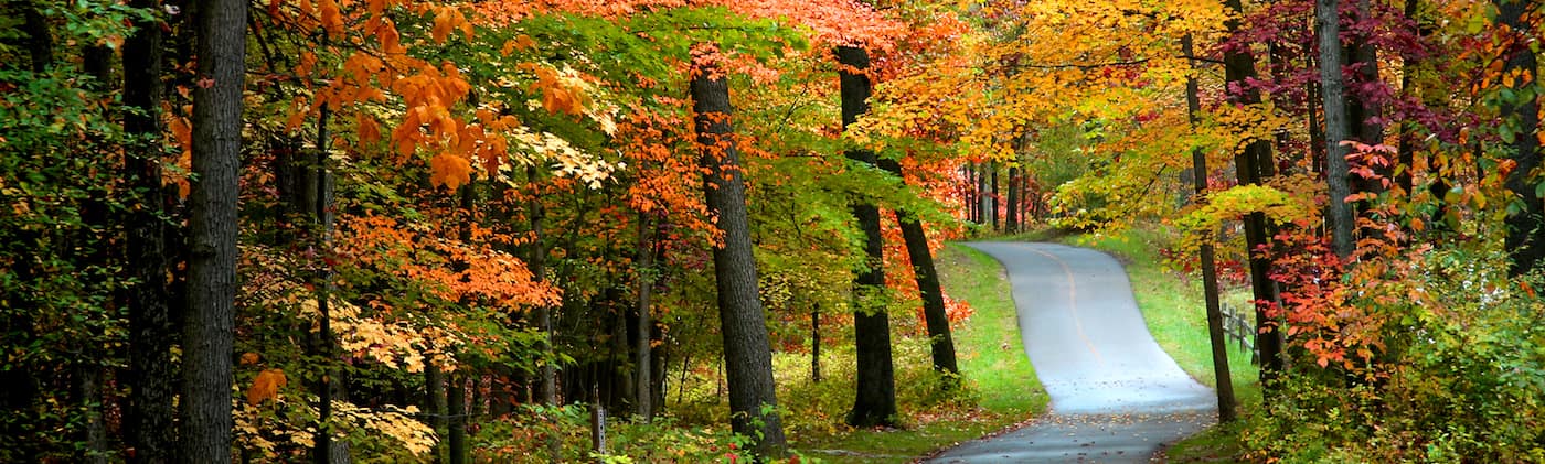 Fall Road Bike Trail.jpg