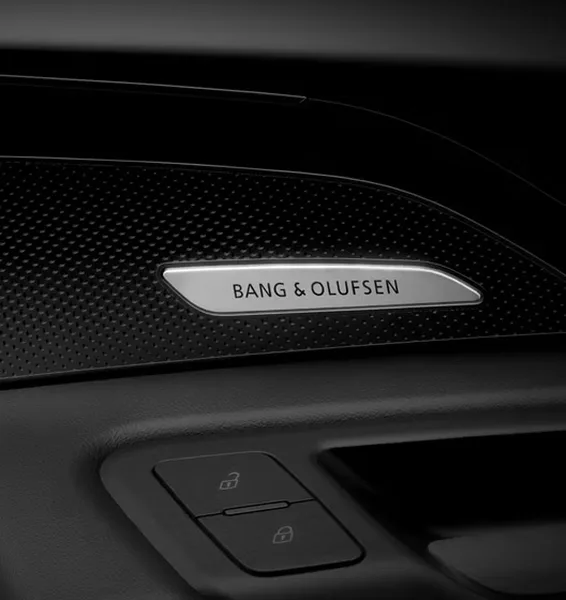 Close-up of a Bang & Olufsen speaker grille set into the Audi Q5 door trim