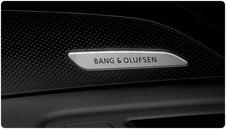 Close-up of a Bang & Olufsen speaker grille set into the Audi Q5 door trim