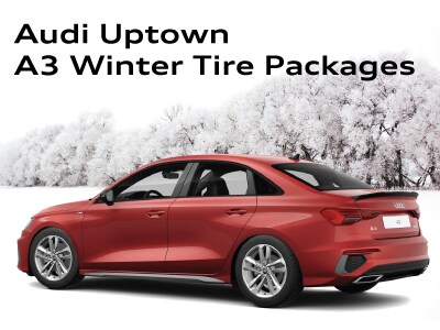 WinterTirePageWidgets_A3.jpg