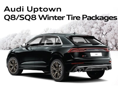 WinterTirePageWidgets_Q8SQ8.jpg