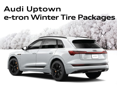 WinterTirePageWidgets-e-tron2.jpg