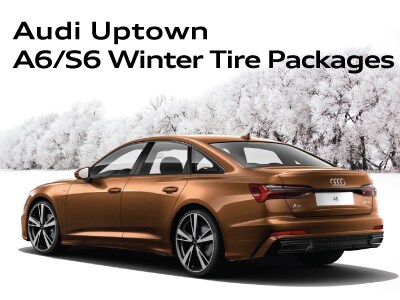 WinterTirePageWidgets_A6S6.jpg