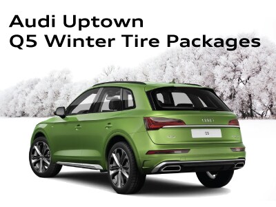 WinterTirePageWidgets_Q5.jpg