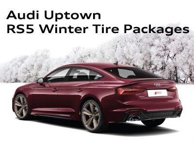 WinterTirePageWidgets_RS5.jpg