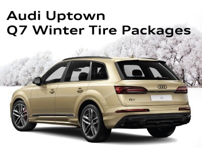 WinterTirePageWidgets_Q7.jpg