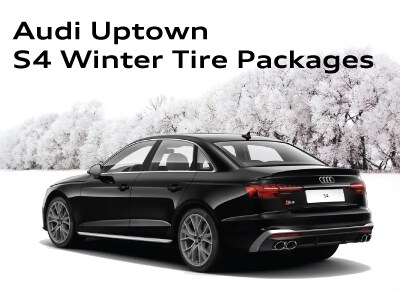 WinterTirePageWidgets_S4.jpg