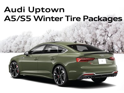 WinterTirePageWidgets_A5S5.jpg