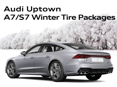 WinterTirePageWidgetsA7S7.jpg