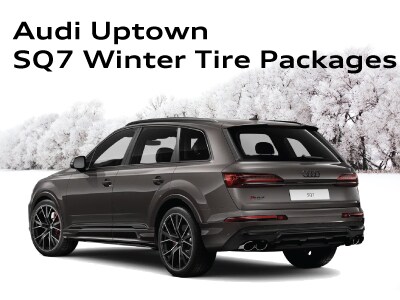 WinterTirePageWidgets_SQ7.jpg