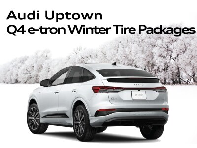 WinterTirePageWidgetsQ4e-tron.jpg