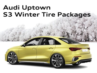 WinterTirePageWidgets_S3.jpg