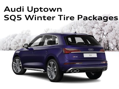 WinterTirePageWidgets_SQ5.jpg