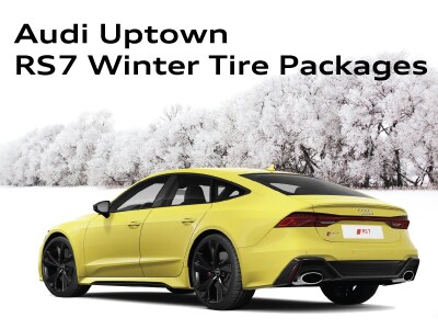 WinterTirePageWidgets_RS7.jpg