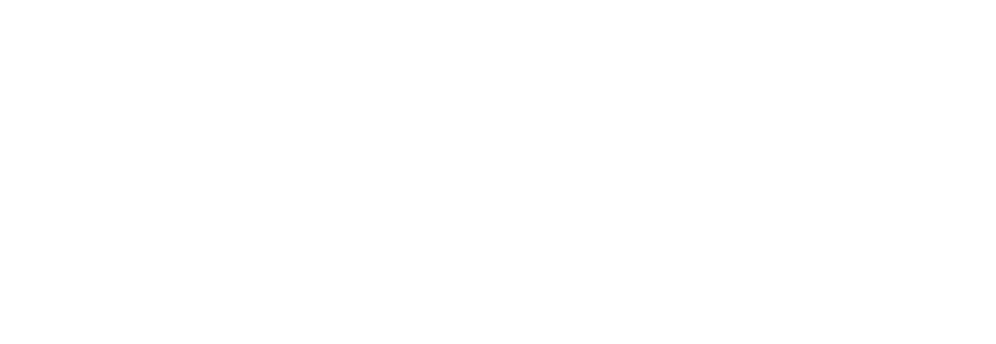 Audi rings