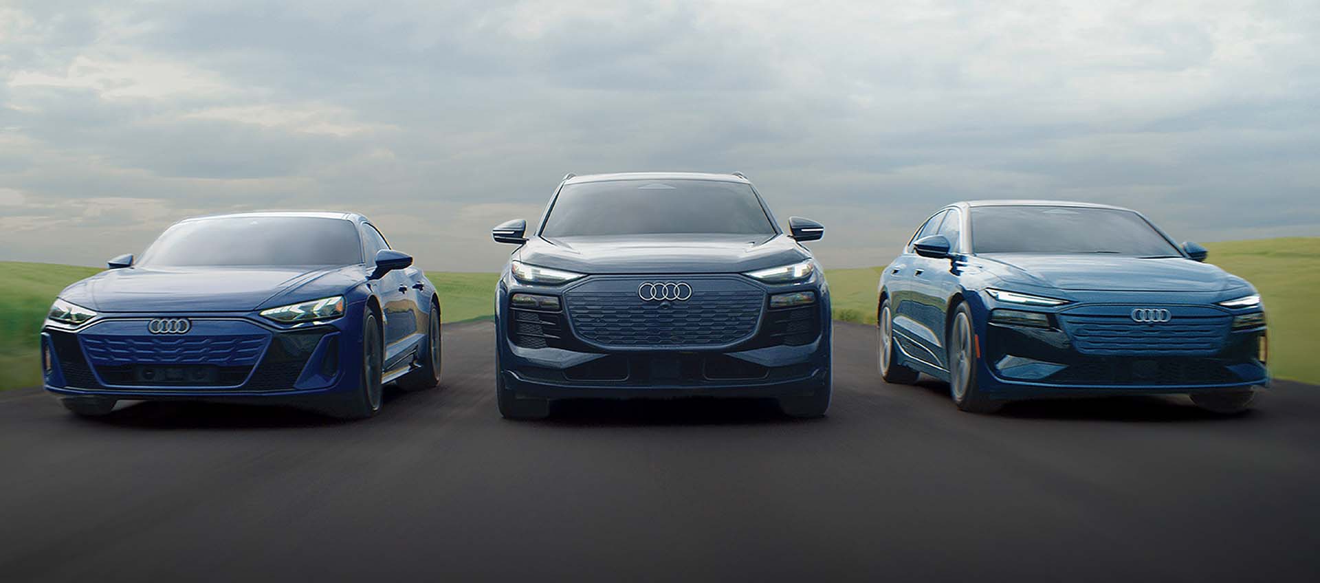 Business driving e-tron family