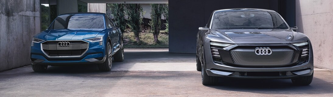 2 Car Etron.jpg