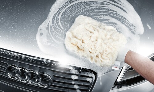 Audi Wilsonville Detail Special
