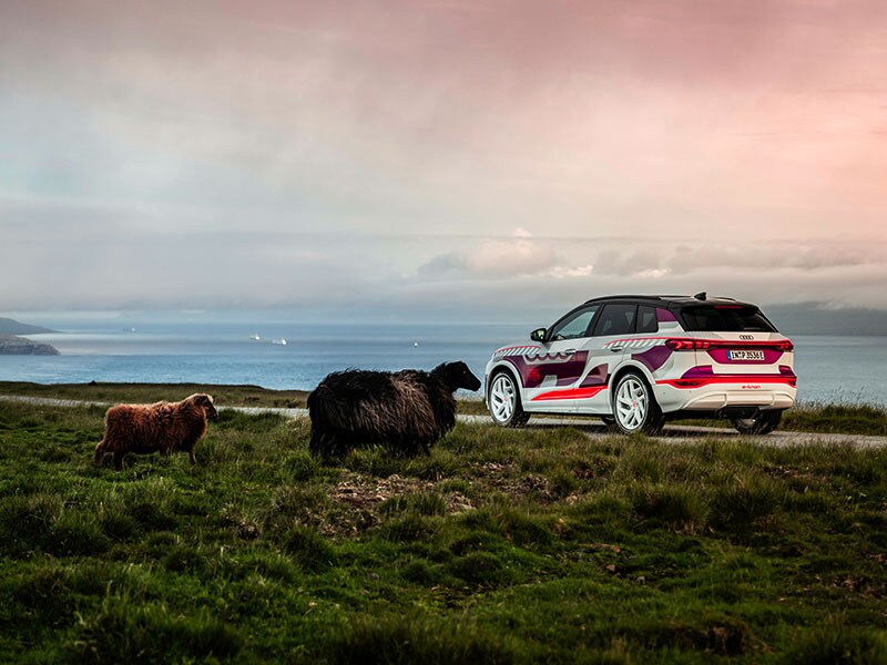 2023 Audi Q6 e-tron driving on mountain by animals