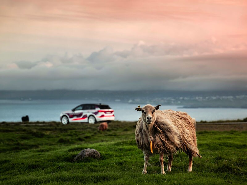 2023 Audi Q6 e-tron exterior by an animal