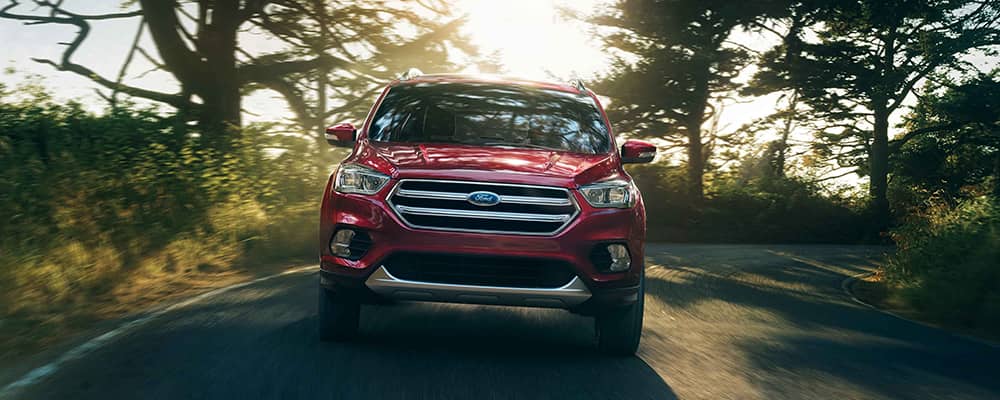 2019 Ford Escape Grill