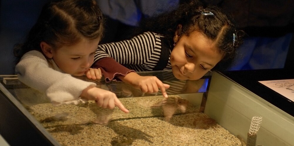 Two Children in Museum