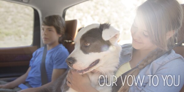 Volvo-vow-to-you-kids.jpg