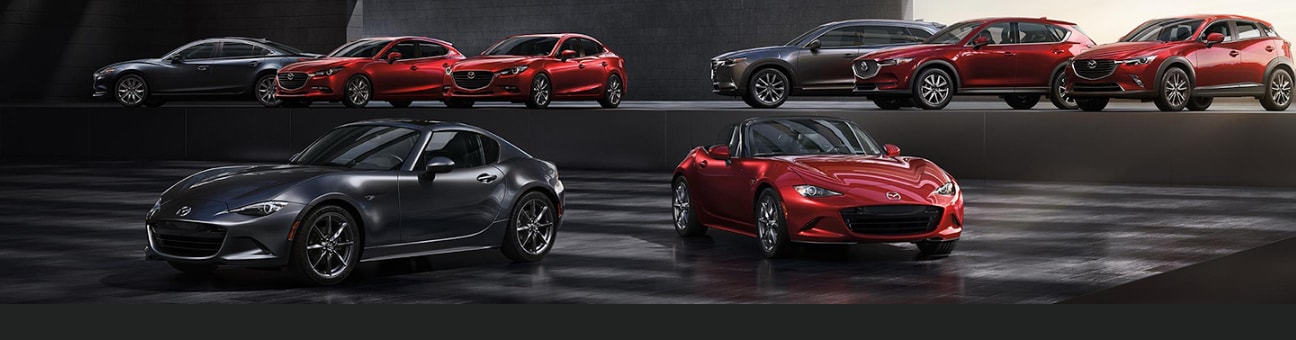 Mazda Family Mazda Family