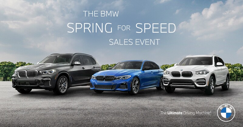 SPRING FOR SPEED UPDATED IMAGE.png