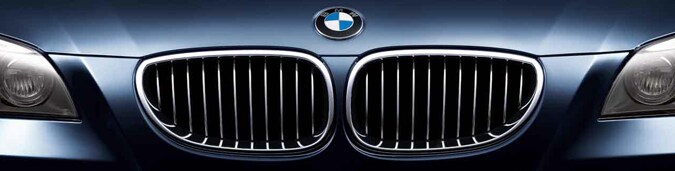 Kidney Grille.png