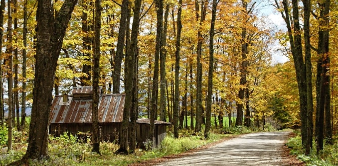Vermont Eco-Friendly Inspections