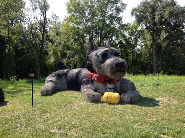 Dog.JPG