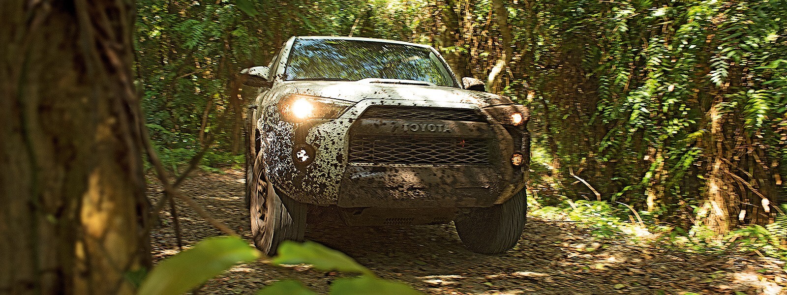 Toyota 4Runner in Ocala, FL