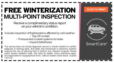Q4-Service-Coupon-Winterization(450x250)Non-Lux.jpg