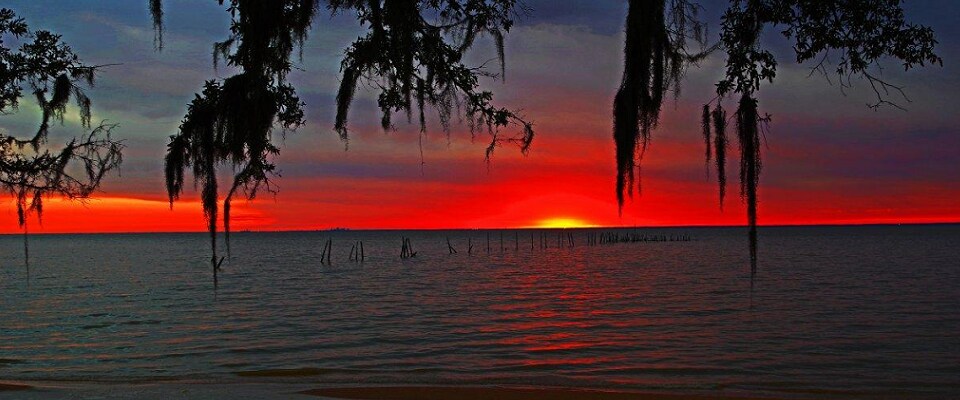 Daphne, AL Scenic view of Daphne, AL