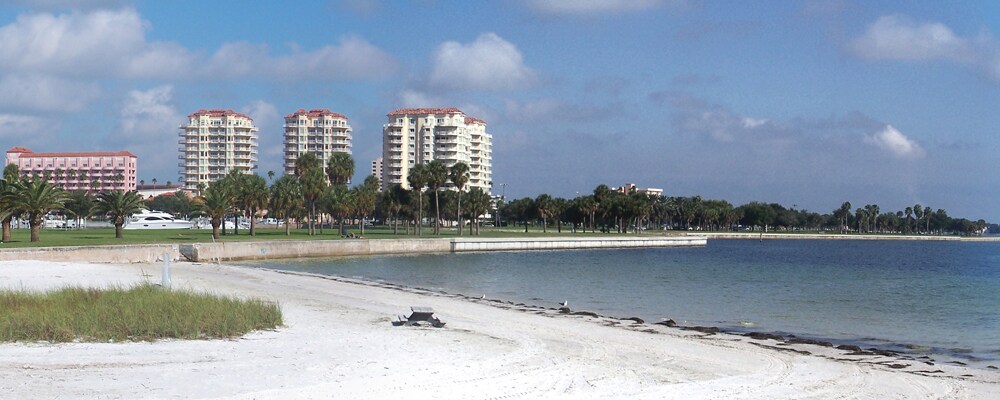 View of St. Petersburg, FL View of St. Petersburg, FL