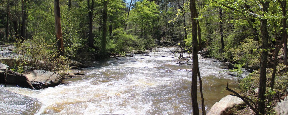 View of Sweetwater Creek near Lithia Springs, GA View of Sweetwater Creek near Lithia Springs, GA
