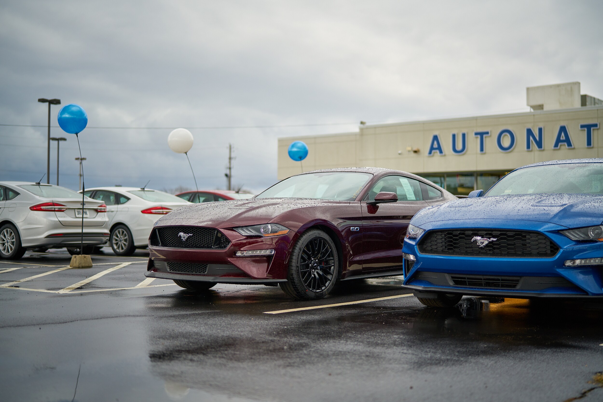 TN-Memphis-Ford-DSC03311.jpg