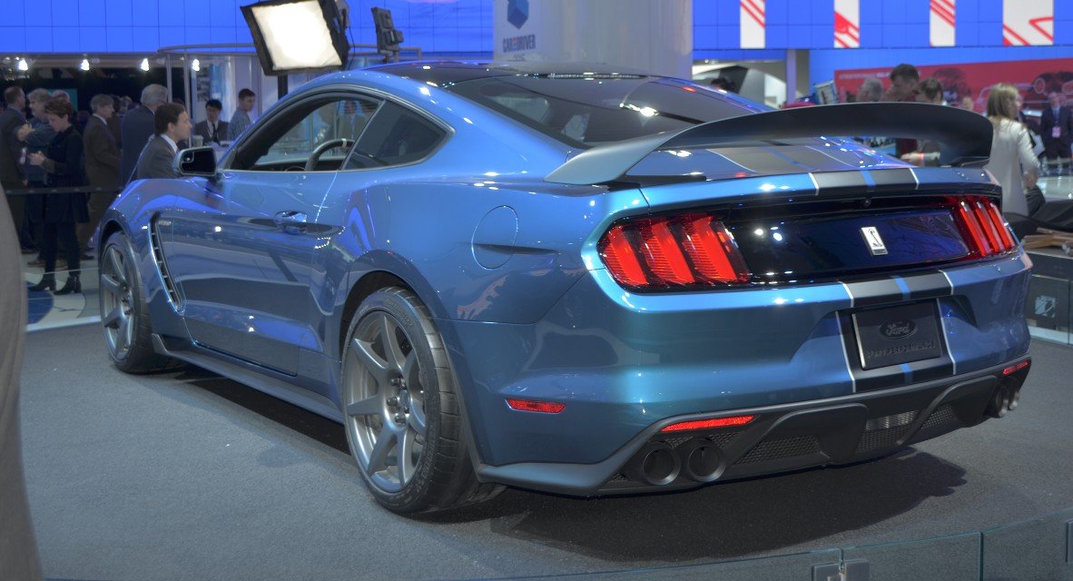 2016shelbyback.jpg