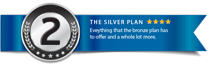 Silver.png