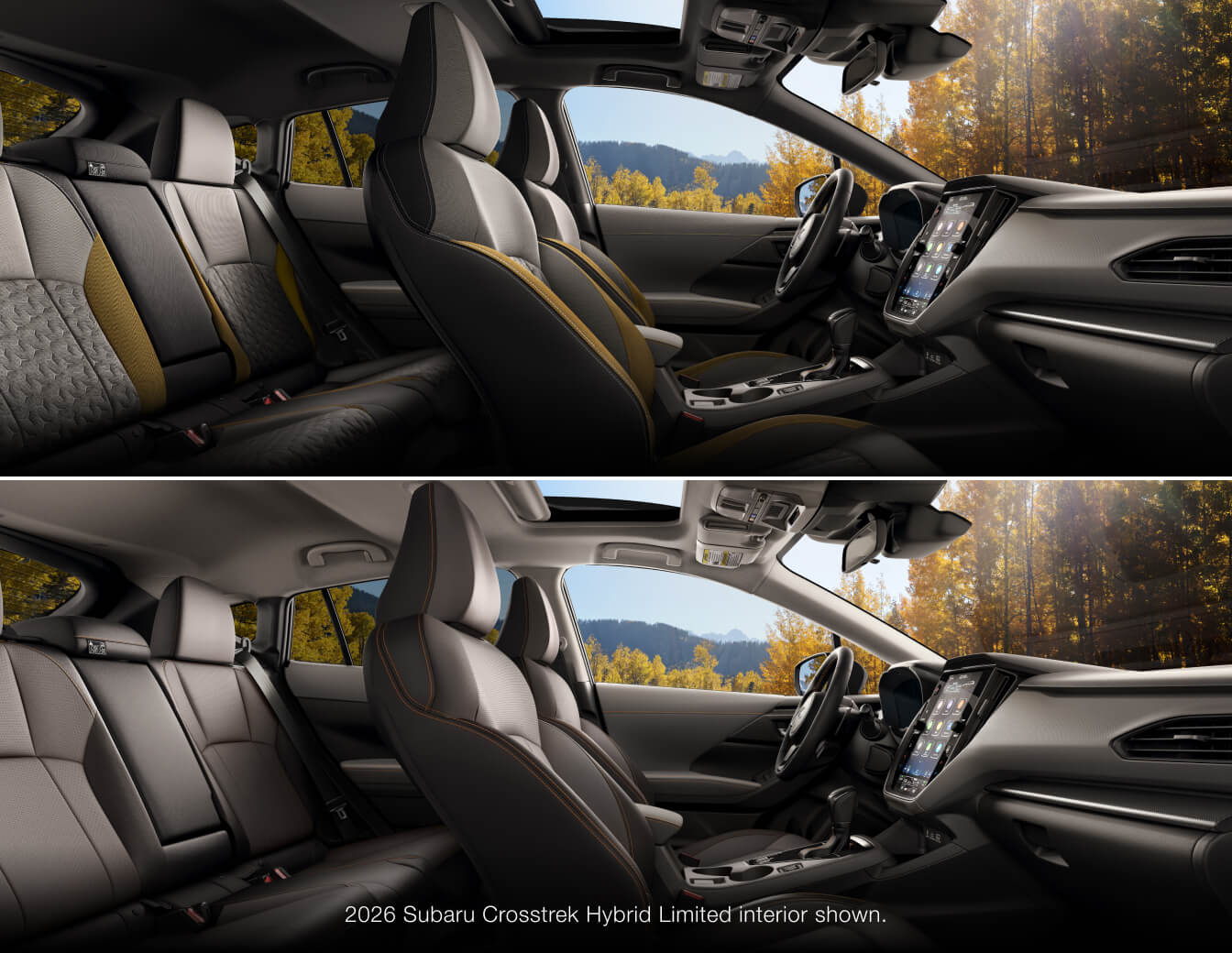 Interior Color