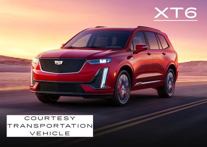 XT6.jpg