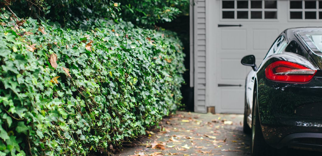 everyday-driveway.jpg